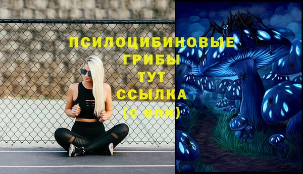 MDMA Premium VHQ Вяземский